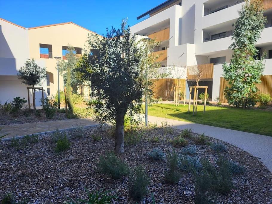 L'Appartement De L'Artiste Marseillan  Eksteriør billede